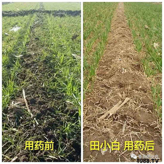 С���s�ݣ���(ji��)��(ji��)�����E�ɞ�����ô�k��С�����݄���ô�x