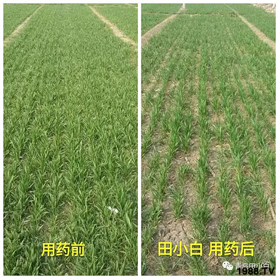 С���s������(ji��)��(ji��)�����E�ɞ�����ô�k��С�����݄���ô�x