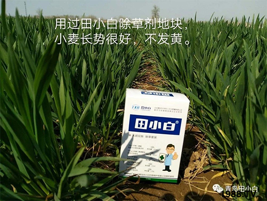 С���s�ݣ���(ji��)��(ji��)�����E�ɞ�����ô�k��С�����݄���ô�x