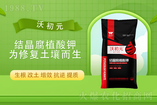 ⛷��Ј�(ch��ng)��(w��n)���Нq��2021��10.4��⛷�����