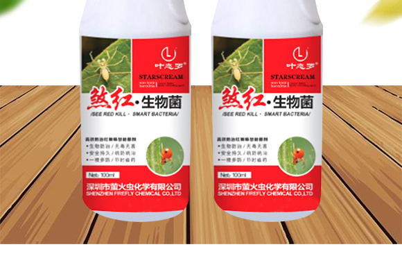 ɷ�t�������-Ξ���x_02