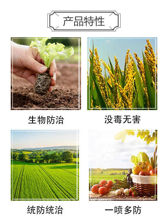 ��ؼt-���r(n��ng)_03