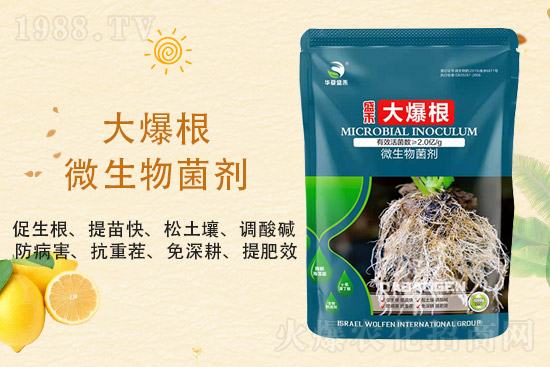 二銨價(jià)格持穩(wěn)，2021年9月3日磷銨價(jià)格行情分析