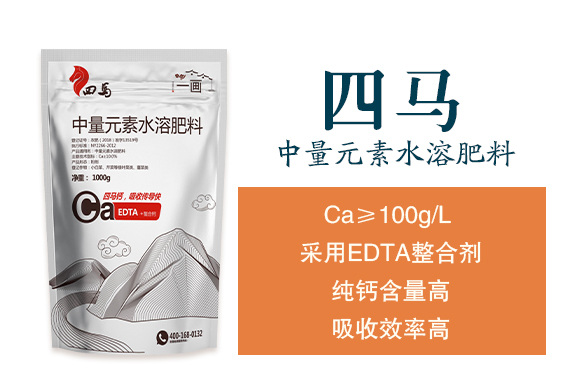 һ��-���R_02