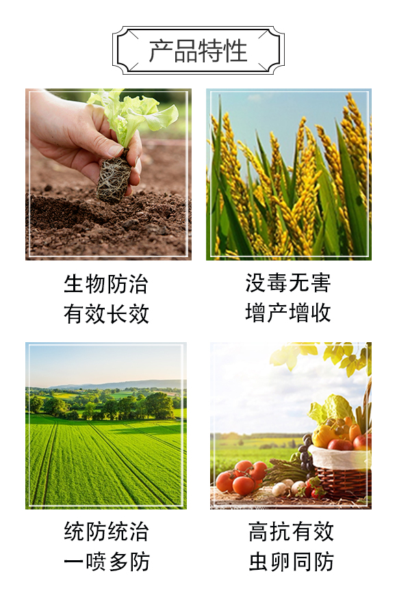 ��ʭ��-��(qi��ng)�r(n��ng)����_04