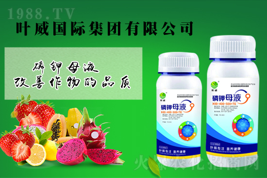 ⛷ʸ�λ�P����2021��9��7��⛷ʃr������