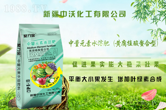 ���½����ֻ�����ף�V�����т�����옷���Ҹ�������