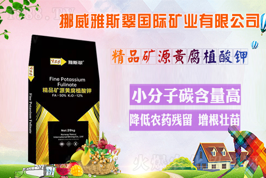 ��Ų����˹�䡿ף�V��(j��ng)�N��2022�껢������H�Қg��������(ji��)�옷��