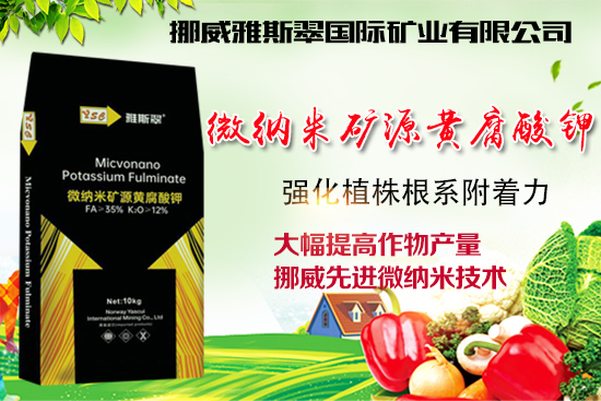 ��Ų����˹�䡿ף�V��(j��ng)�N��2022�껢��󼪣��H�Қg��������(ji��)�옷��