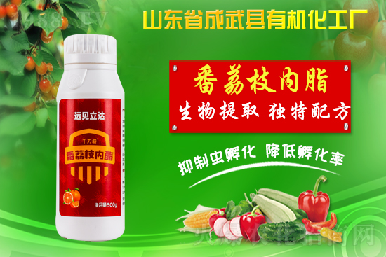 ���ЙC(j��)�����S��ף������������������µ�һ�����չ��D��