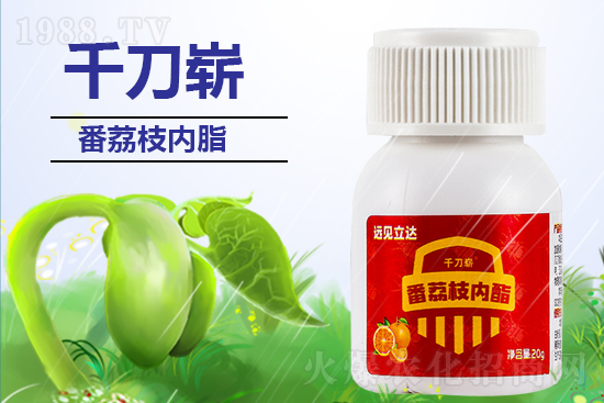 ���ЙC(j��)�����S��ף������������������µ�һ�����չ��D��