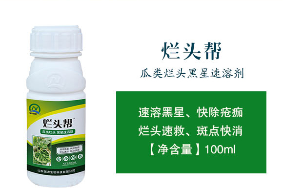 ɽ�|���r-���^��_02