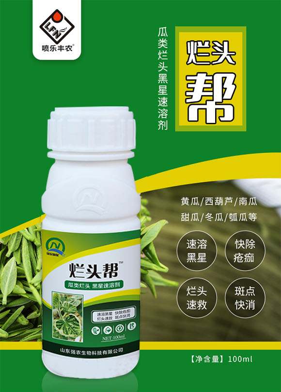 ɽ�|���r-���^��_01