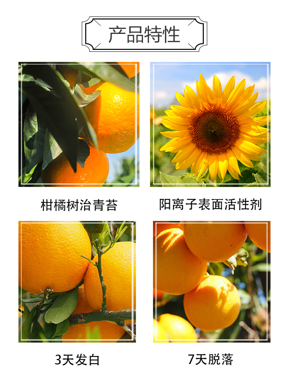 �_��W��������Ƽ����޹�˾1_03