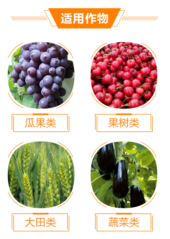 南寧市華沃農(nóng)業(yè)科技有限責(zé)任公司1_05