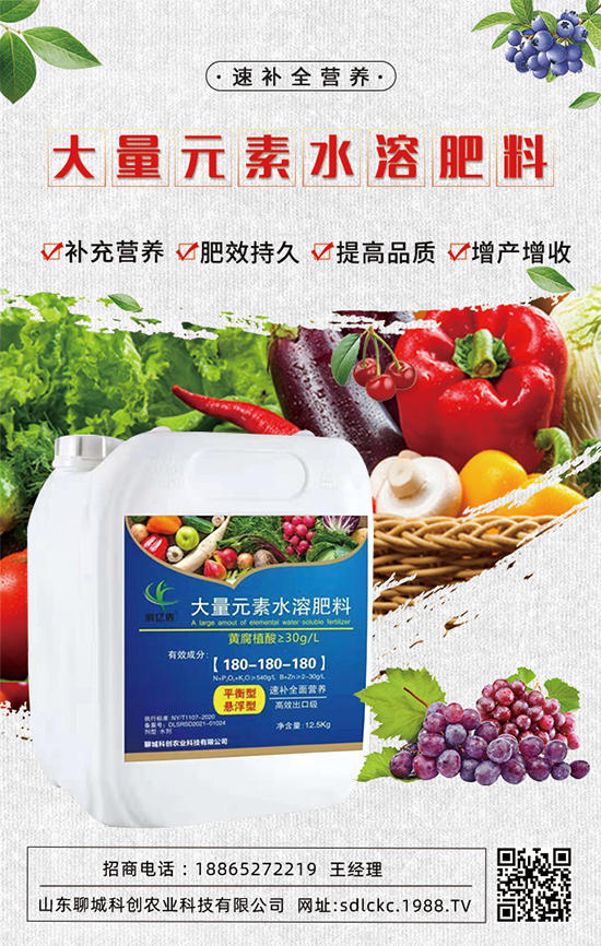 ɽ�|�ĳǿƄ�(chu��ng)�ٺ�1988.TV�����\�������p�A��