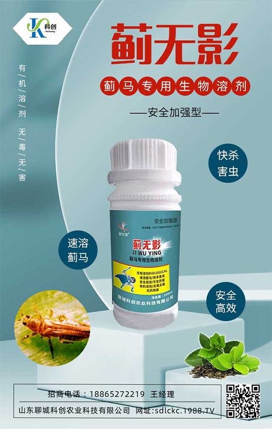 ɽ�|�ĳǿƄ�(chu��ng)�ٺ�1988.TV�����\�������p�A��