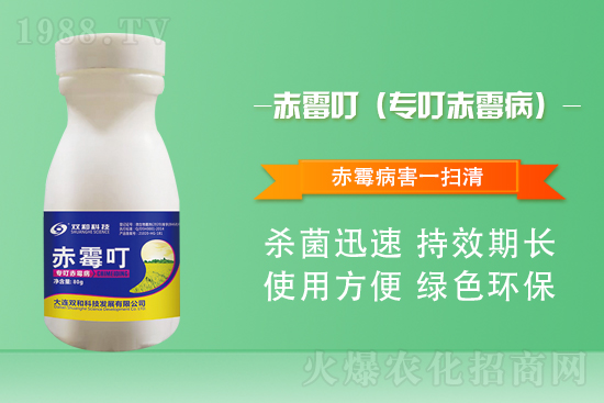 ����������(j��)�����B�p�ͿƼ��ٺ�1988.TV������(chu��ng)���x����