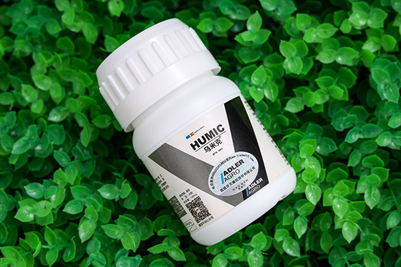 ���׿�-�͂��_2