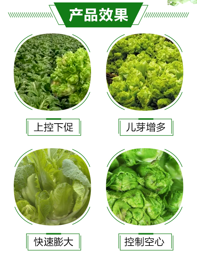 ������-����_04