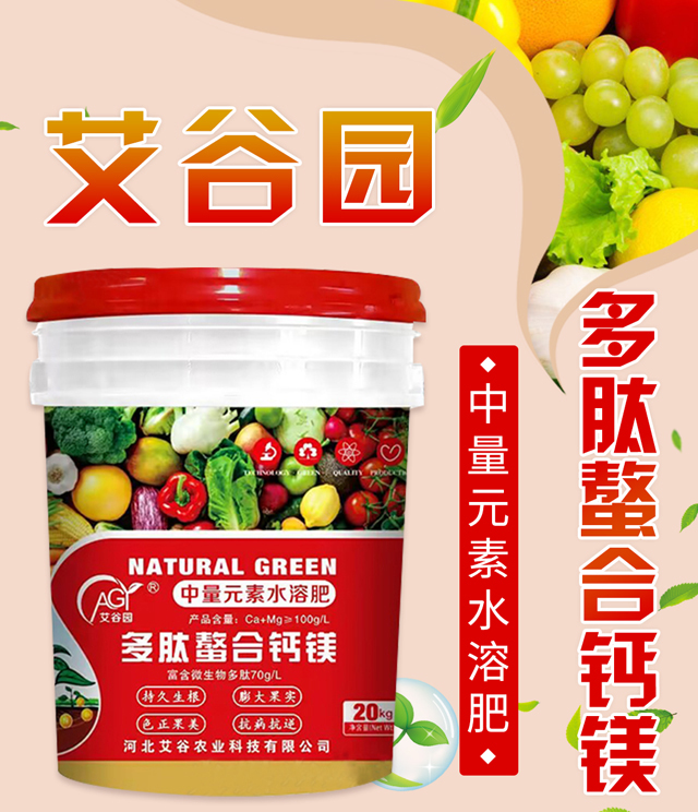 ���������}�V-���Ȉ@_01