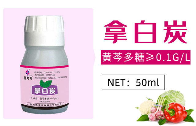 �ð�̿-������-�v�S�r(n��ng)�I(y��)_03