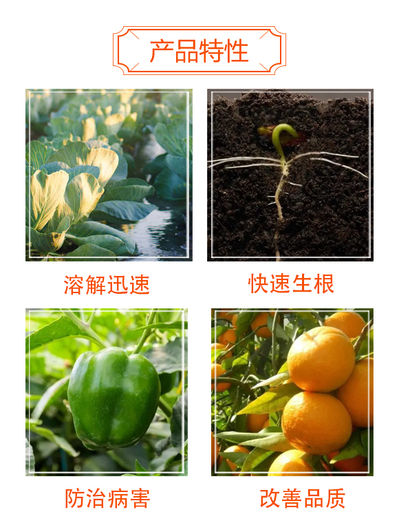 �VԴ�S�����-��˹��_03