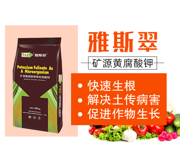 �VԴ�S�����-��˹��_02