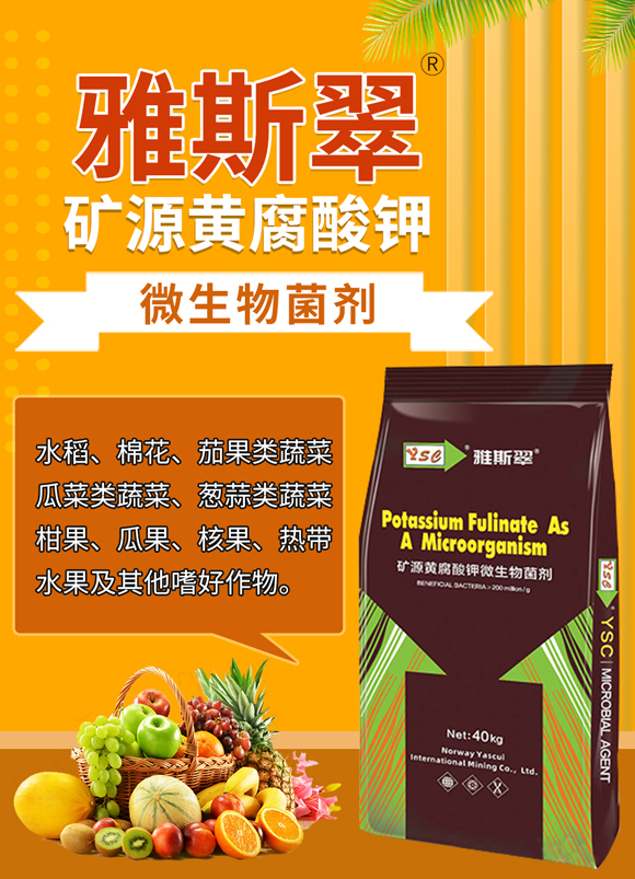 �VԴ�S�����-��˹��_01