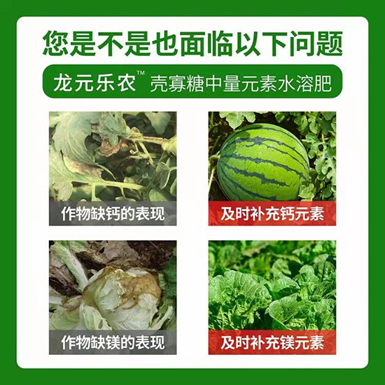 1000ml中量元素水溶肥-殼寡糖-龍?jiān)獦?lè)農(nóng)3