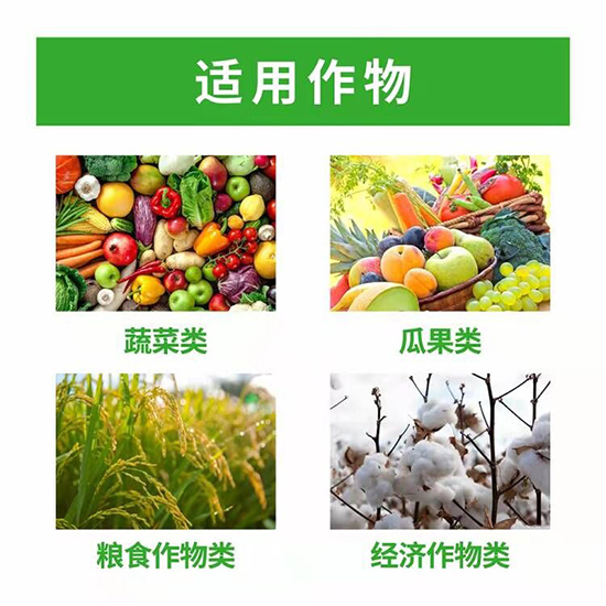 1000ml中量元素水溶肥-殼寡糖-龍?jiān)獦?lè)農(nóng)4