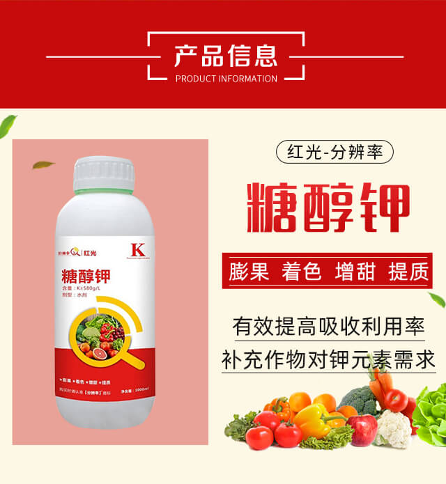 �Ǵ��-�t��-�ֱ�������_02