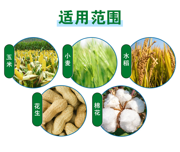�V�����R���r(n��ng)�I(y��)�ɷ����޹�˾-�ЙC(j��)�o(w��)�C(j��)��(f��)�����2_04