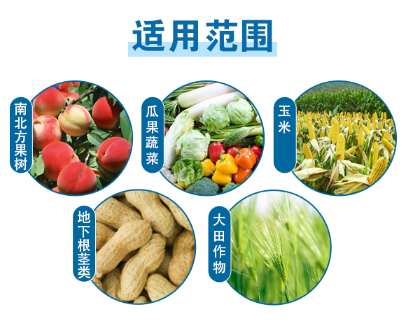 �ӱ�����������Ƽ�����؟(z��)�ι�˾-�������̼_04