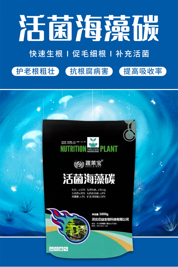 �ӱ�����������Ƽ�����؟(z��)�ι�˾-�������̼_01