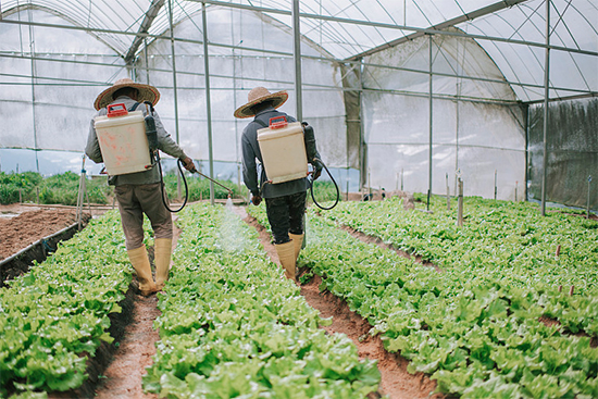 �ذ������ߌóɶ��N�I(y��)���[��(hu��)���n11��18��