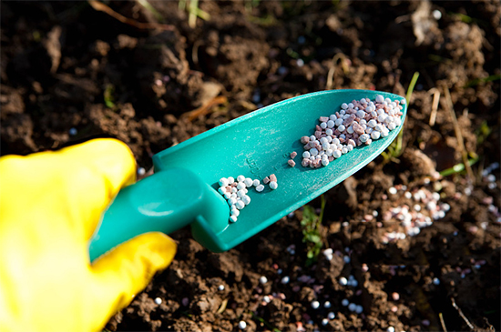 �ذ������ߌóɶ��N�I(y��)���[��(hu��)���n11��18��