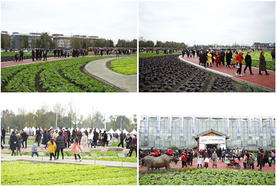 �ذ������ߌóɶ��N�I(y��)���[��(hu��)���n11��18��