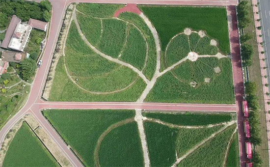 �ذ������ߌóɶ��N�I(y��)���[��(hu��)���n11��18��