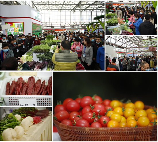 �ذ������ߌóɶ��N�I(y��)���[��(hu��)���n11��18��