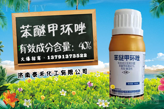 �������r(ji��)��