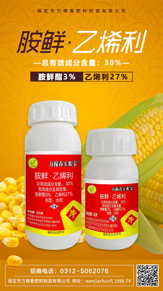 �������f�ڴ������������޹�˾3