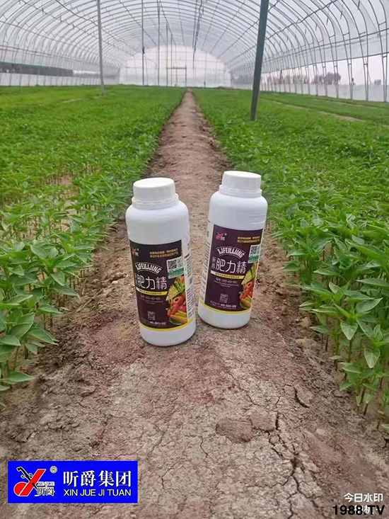 �����仨����������Ͳ��ü������l(f��)�������ٻ����������E���@��