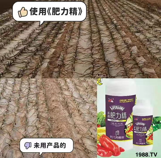 �����仨����������Ͳ��ü������l(f��)�������ٻ����������E���@��