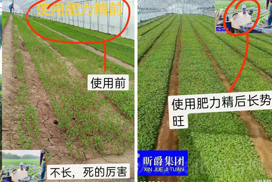 �����仨����������Ͳ��ü������l(f��)�������ٻ����������E���@��