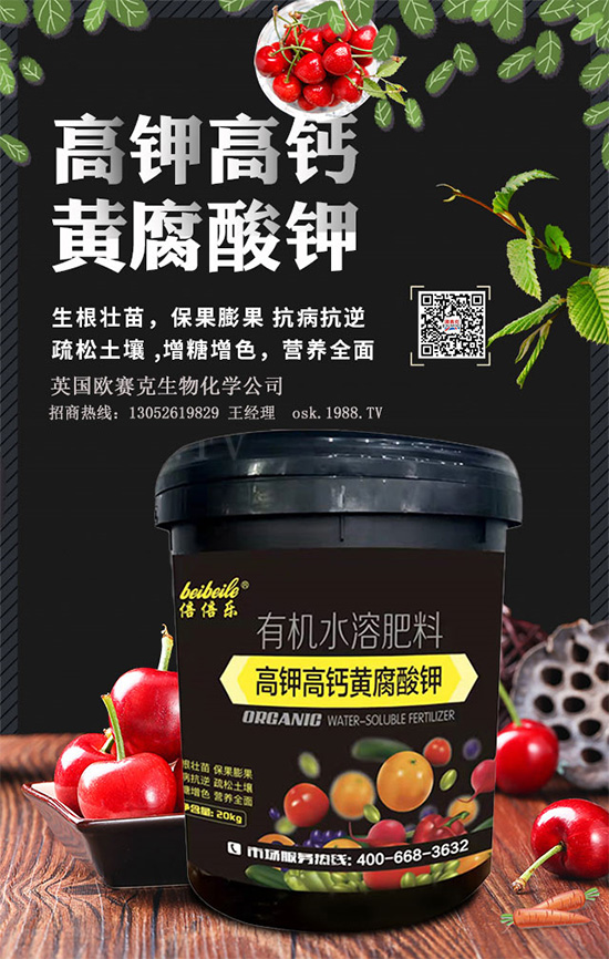 一袋黃腐酸鉀=生根＋土壤改良＋有機肥！黃腐酸鉀為何如此神奇？