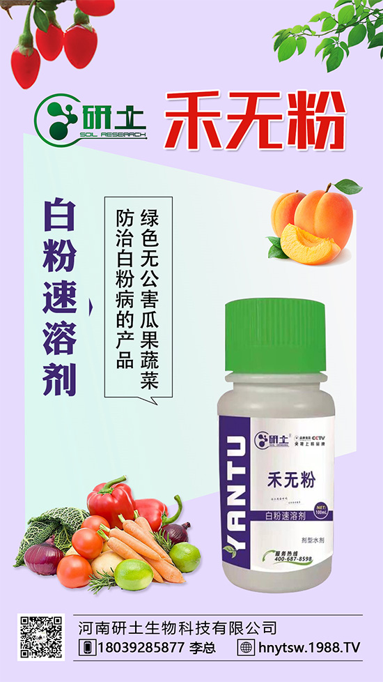 ���Ѱ׷۲��������l(f��)���������ֱ�׷۲���