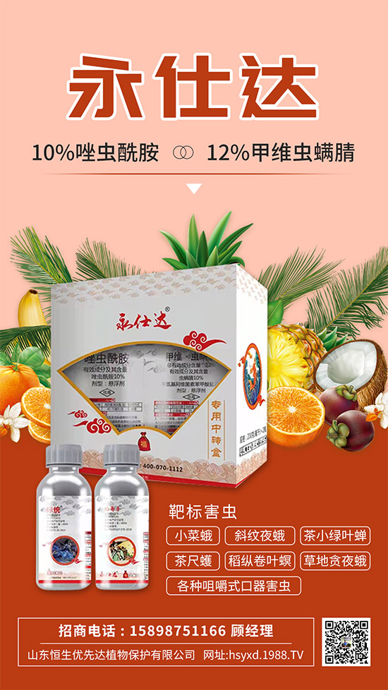 小菜蛾為何防治難?小菜蛾危害癥狀及防治措施!