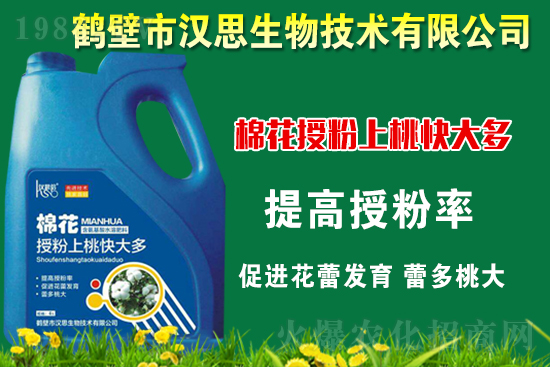 �޻��Nֲ��ô�������޻������L�ڹ���Ҫ�c