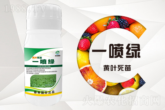 �����߲������ʲô������������ô��Q��